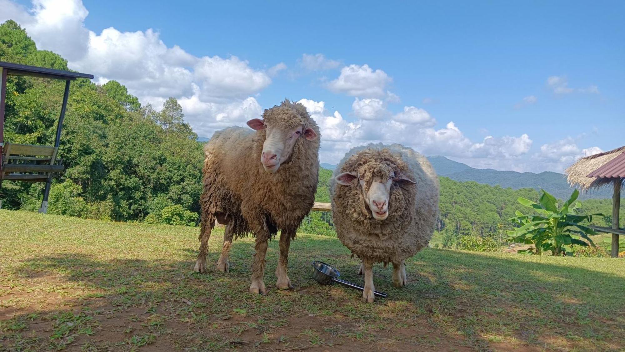 ไร่นิธิสุนทร Nithisoonthon Farmstay ماي هونج سون المظهر الخارجي الصورة